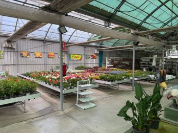 Instalaciones de Viveros Gómez