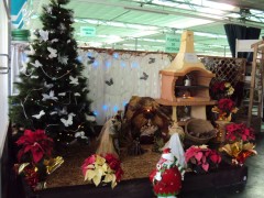 Foto 9