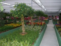 Foto 56